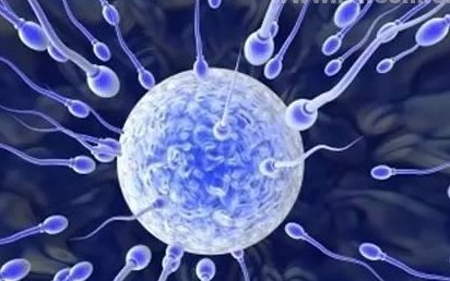 珠海地区有哪些私立的机构可以做试管技术？如何区分血块和孕囊,妊娠囊流出后的注意事项!