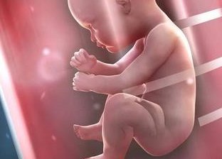 新疆地区有哪些私立的机构可以做试管技术？治疗大便不通的大承气血汤4味中药的标准剂量是多少？