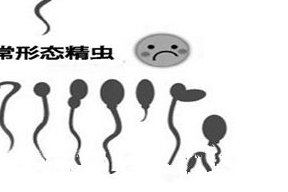 邵阳市中心医院做三代试管婴儿成功率高不高？什么因素可以影响到试管成功率