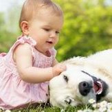 第二代上海试管婴儿费用？试管婴儿具体流程有哪些