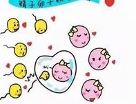 福州特需试管要多少钱？