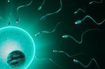 文昌市人民医院洗精费用多少钱？试管婴儿移植成功后检查流程有哪些？