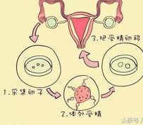 安徽三代试管婴孩子医院一览 附试管婴儿费用成功率