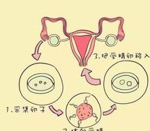 别纠结属龙和属马女婚姻相不相配了，是否犯冲了解下