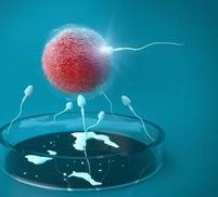 赴泰家庭必看！泰国试管婴儿医院综合排名Top5发布！