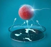 做了结扎手术可以在安宁市试管医院做试管婴儿吗？费用是多少