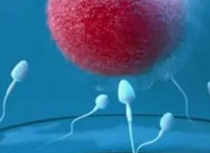 试管夜针为什么要选肚子打？打其他地方可以吗？